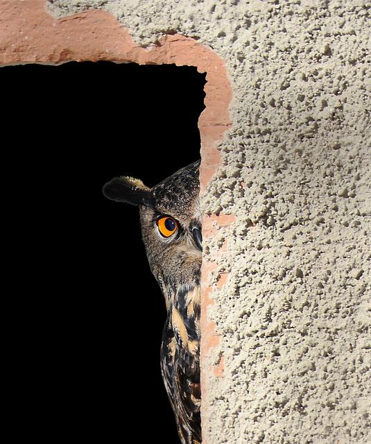 Clairvoyance bien etre reponse fiable immediatemen