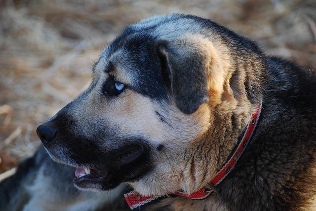 Tirage tarologie fortune rapide en urgence